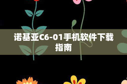 诺基亚C6-01手机软件下载指南