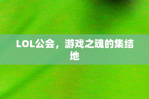 LOL公会，游戏之魂的集结地