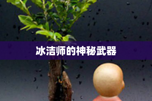 冰洁师的神秘武器