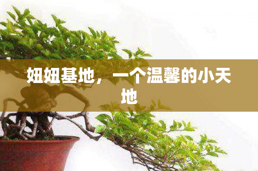 妞妞基地，一个温馨的小天地