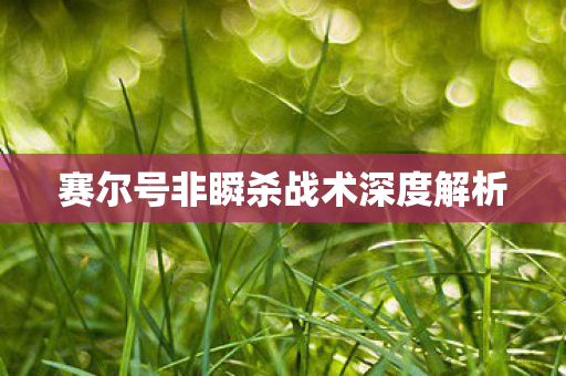 赛尔号非瞬杀战术深度解析