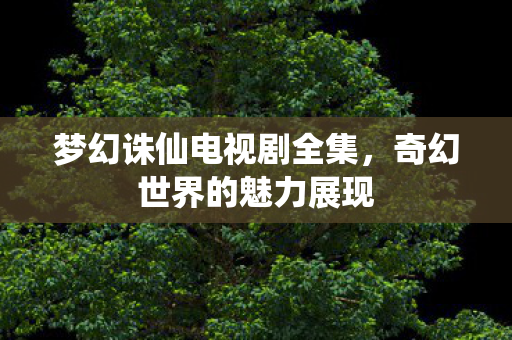 梦幻诛仙电视剧全集，奇幻世界的魅力展现