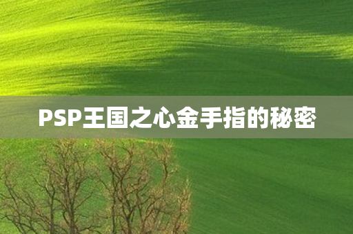 PSP王国之心金手指的秘密