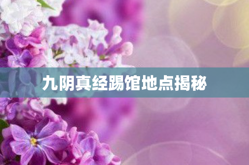 九阴真经踢馆地点揭秘