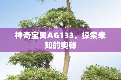 神奇宝贝AG133，探索未知的奥秘
