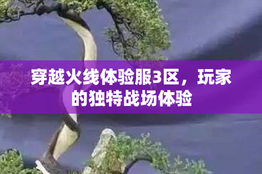 穿越火线体验服3区，玩家的独特战场体验