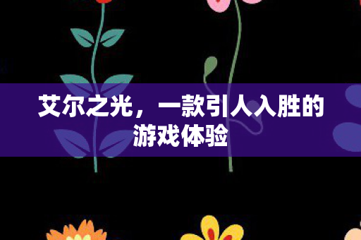 艾尔之光，一款引人入胜的游戏体验