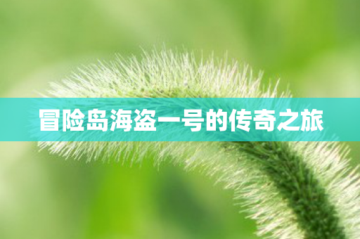 冒险岛海盗一号的传奇之旅