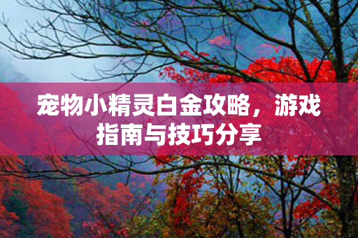 宠物小精灵白金攻略，游戏指南与技巧分享