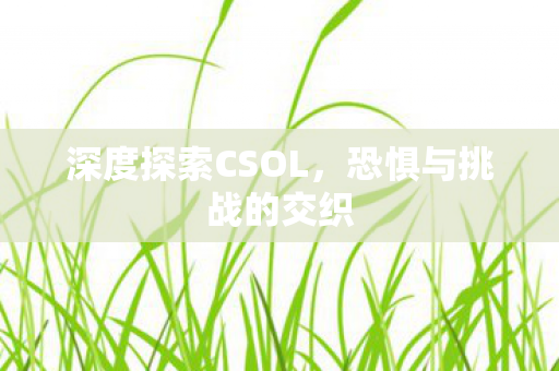 深度探索CSOL，恐惧与挑战的交织