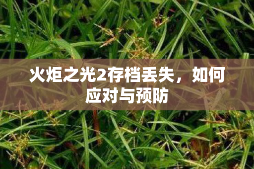 火炬之光2存档丢失，如何应对与预防