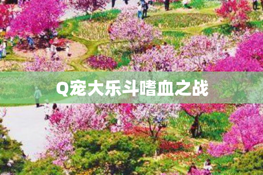 Q宠大乐斗嗜血之战