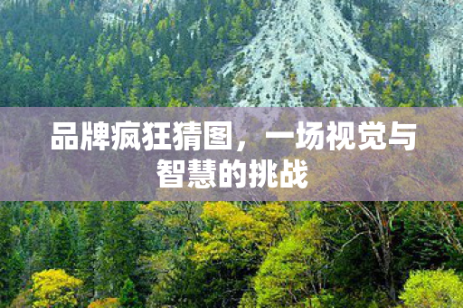 品牌疯狂猜图，一场视觉与智慧的挑战