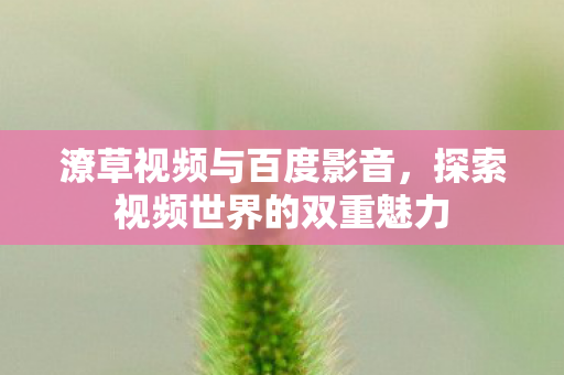 潦草视频与百度影音，探索视频世界的双重魅力