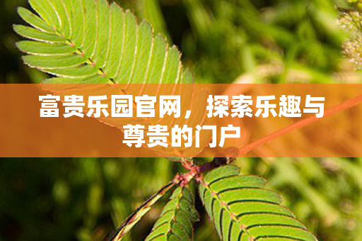 富贵乐园官网,探索乐趣与尊贵的门户
