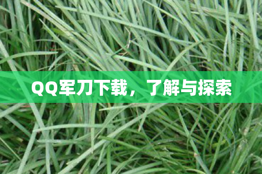 QQ军刀下载，了解与探索