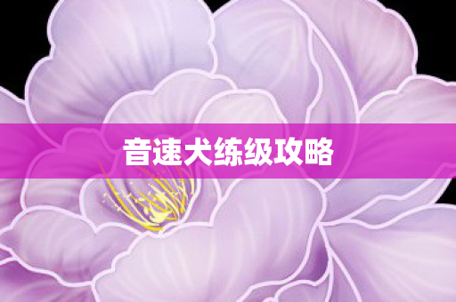 音速犬练级攻略