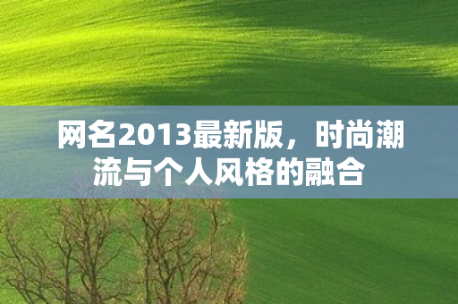 网名2013最新版，时尚潮流与个人风格的融合