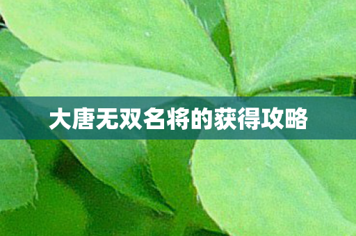 大唐无双名将的获得攻略