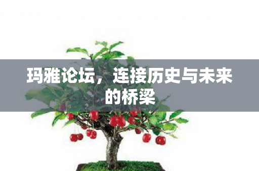 玛雅论坛，连接历史与未来的桥梁