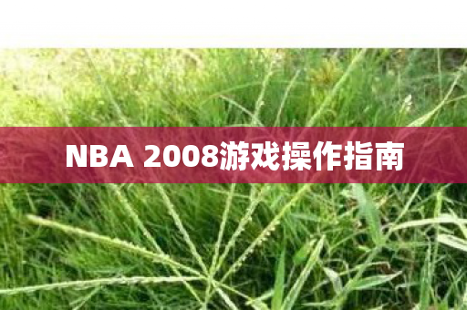 NBA 2008游戏操作指南