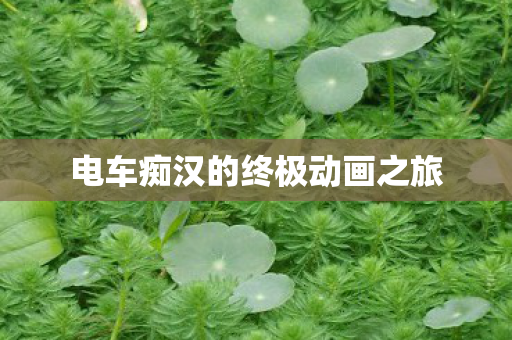 电车痴汉的终极动画之旅