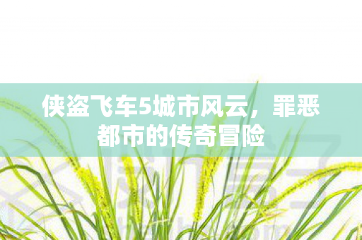 侠盗飞车5城市风云，罪恶都市的传奇冒险