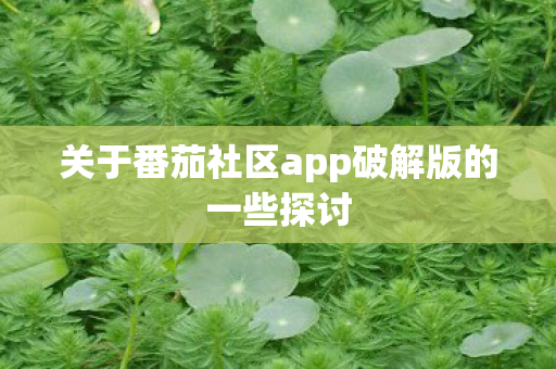 关于番茄社区app破解版的一些探讨