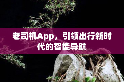 老司机App，引领出行新时代的智能导航