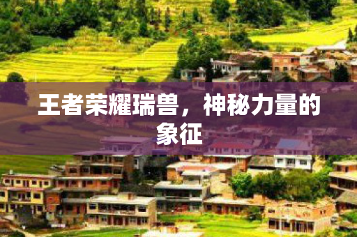 王者荣耀瑞兽，神秘力量的象征