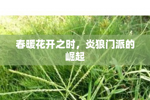 春暖花开之时，炎狼门派的崛起