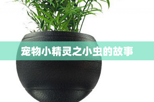 宠物小精灵之小虫的故事