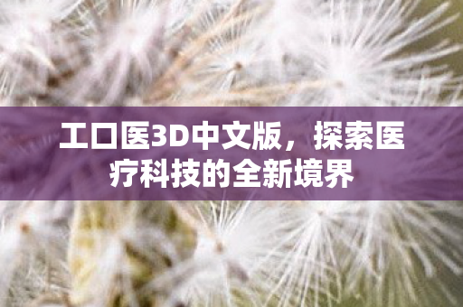 工口医3D中文版，探索医疗科技的全新境界