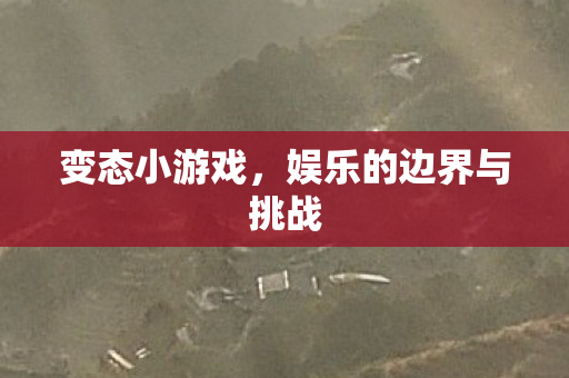 变态小游戏，娱乐的边界与挑战