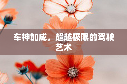 车神加成，超越极限的驾驶艺术