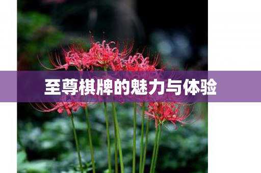 至尊棋牌的魅力与体验