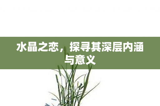 水晶之恋，探寻其深层内涵与意义