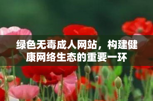 绿色无毒成人网站，构建健康网络生态的重要一环