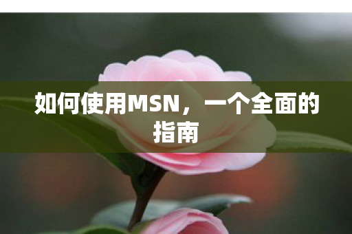 如何使用MSN，一个全面的指南