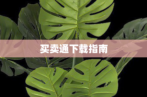 买卖通下载指南