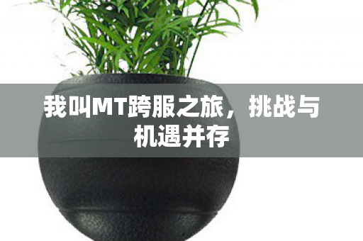 我叫MT跨服之旅，挑战与机遇并存