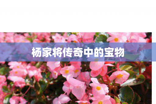 杨家将传奇中的宝物