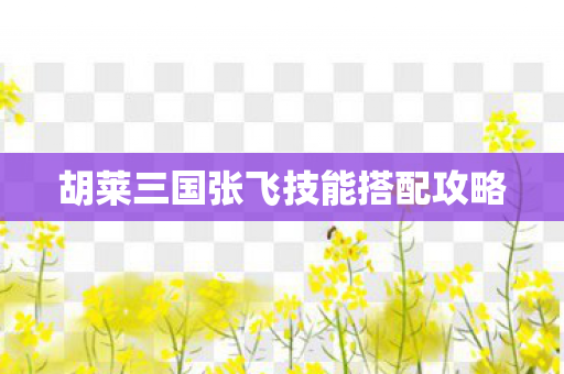 胡莱三国张飞技能搭配攻略