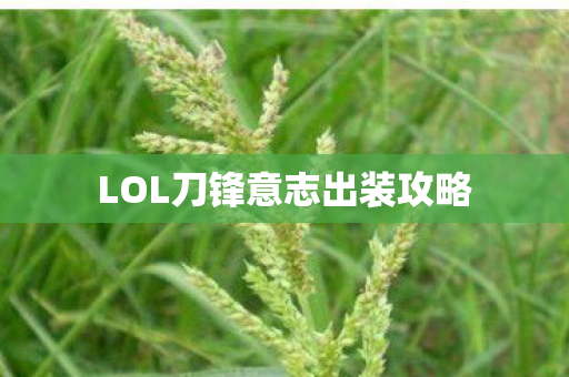 LOL刀锋意志出装攻略