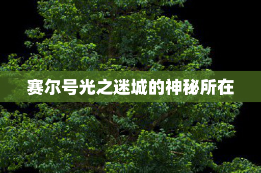 赛尔号光之迷城的神秘所在