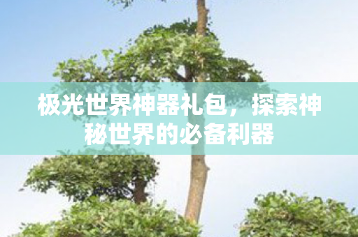 极光世界神器礼包，探索神秘世界的必备利器