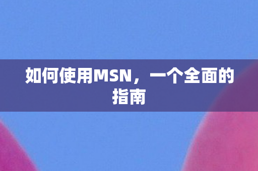 如何使用MSN，一个全面的指南