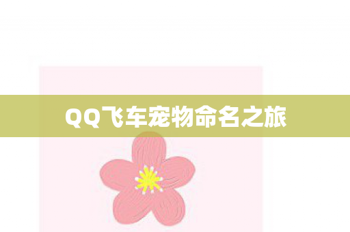 QQ飞车宠物命名之旅