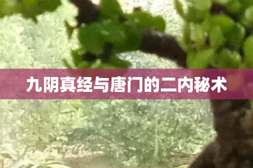 九阴真经与唐门的二内秘术