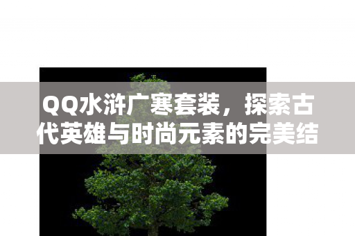 QQ水浒广寒套装,探索古代英雄与时尚元素的完美结合
